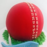 Cricket Ball Cake