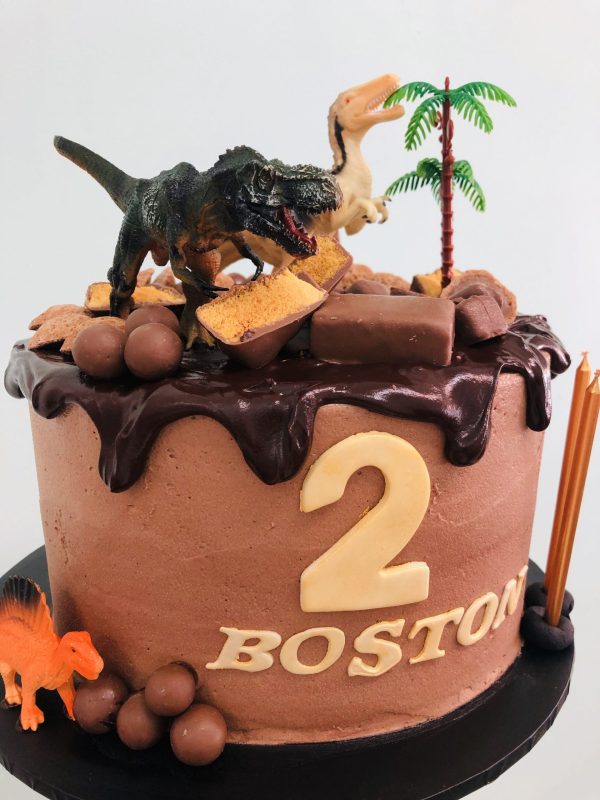 Dinosaur Choc Drip Cake