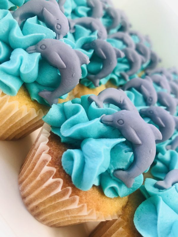 Dolphins Cupcakes sydney